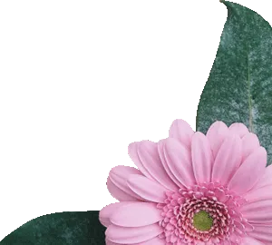 Flower decoration